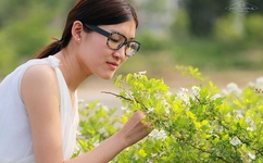 爱城怎么上不去了